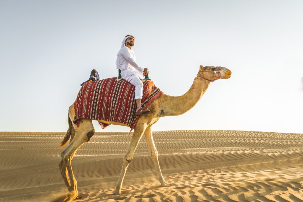 Premium Desert Safari