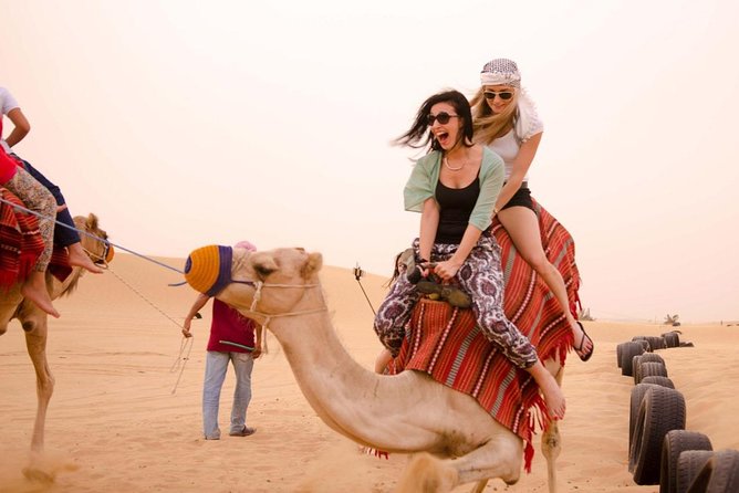 camel riding dubai tour
